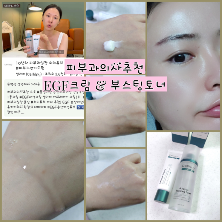  피부고ㅏ 화장품 셀라피 에이리페어 EGF크림 피부 장벽 크림 앤 부스팅 토너