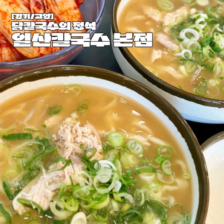 일산 맛집 대표 닭칼국수 일산칼국수 본점 후기 ft.포장 팁