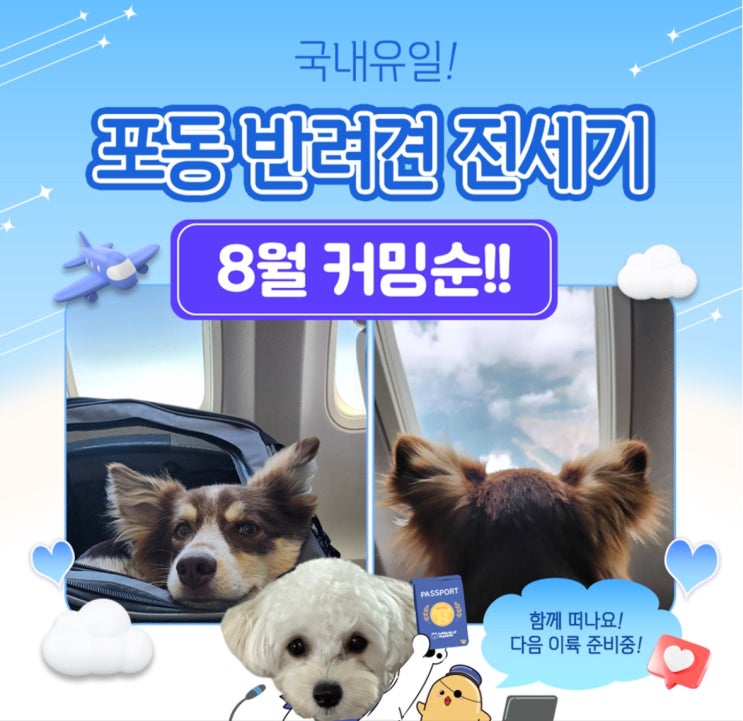  포동 서포터즈 7기 날아올라 포동 3차 반려견 전용기 일정 정보 공유