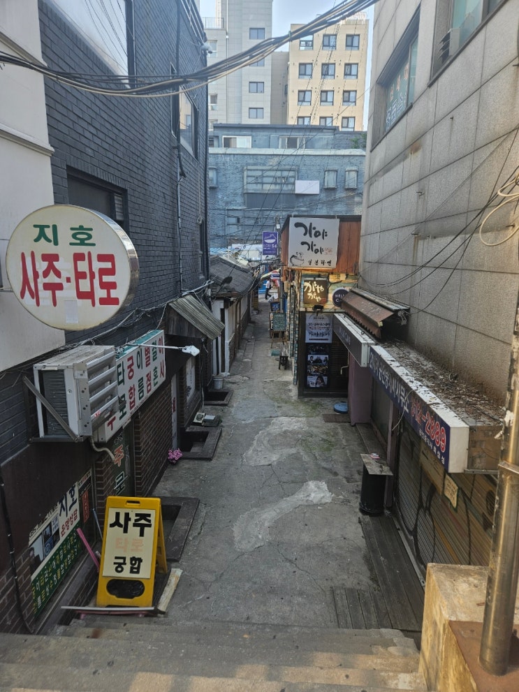  [이대 맛집] 가야가야 - 일본라멘 백종원의 골목식당에 나왔던 그 집