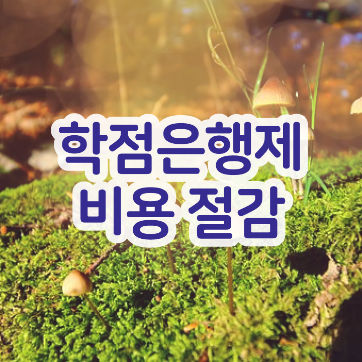  학점은행제 , 전문학습멘토 가 옆에 있어서 원하던 전공공부를 끝낼 수 있었어요