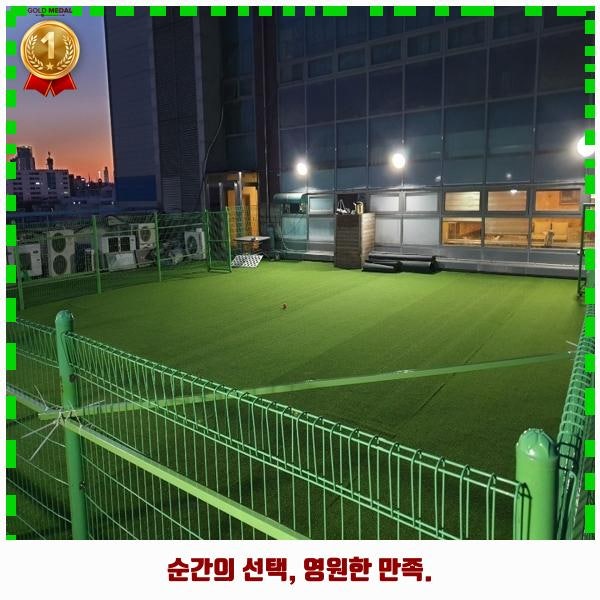 사진 6