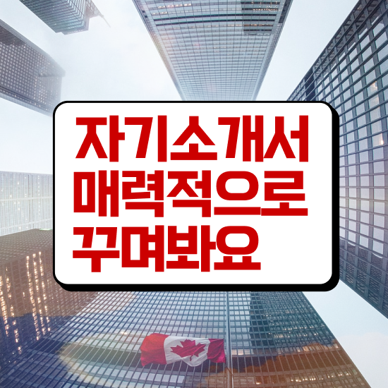 자소서 쓰는법 , 자기소개서지도사 자격증 한달 만에 취득한 노하우 궁금증 해결