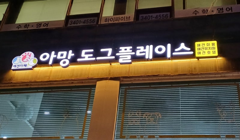 사진 6