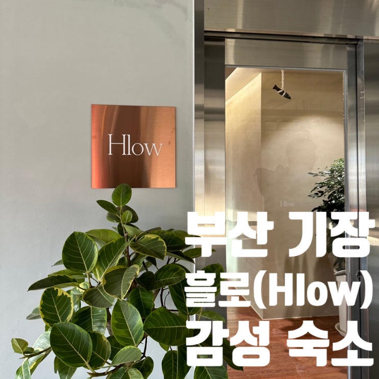 부산 기장 새로 생긴 감성 숙소 흘로(Hlow)