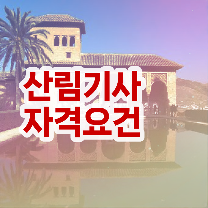  산림기사 자격증 산림기사 시험응시자격 온라인 과정으로 빠르게 성공한 전략