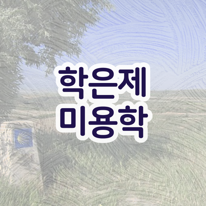  미용 4년제 대학 시험 준비 안해도 , 인강만으로 헤어미용자격증 따고 샵까지 오픈한 과정