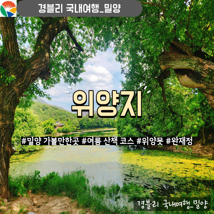  밀양 가볼만한곳 아름다운 저수지 위양못 여름 산책코스 추천 '위양지'