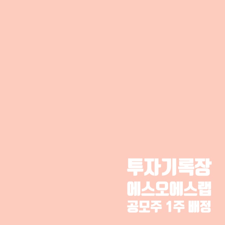 에스오에스랩 공모주 청약 성공(1주 균등 배정)