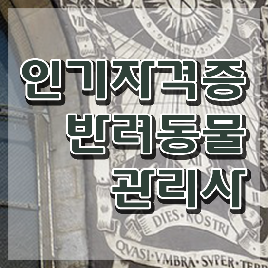  40대일자리 , 반려동물관리사 자격증 온라인으로 간단히 합격정보 확인해봅시다