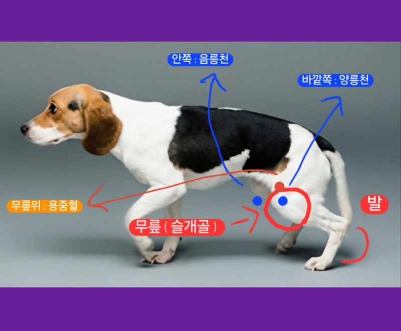 사진 6
