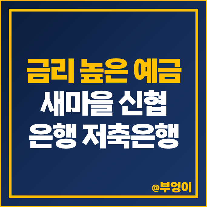 예금 이자 높은 은행 금리 비교 저축은행 신협 새마을금고 정기예금 특판 추천 예금 이자 높은 은행 금리 비교 저축은행 신협 새마을금고 정기예금 특판 추천