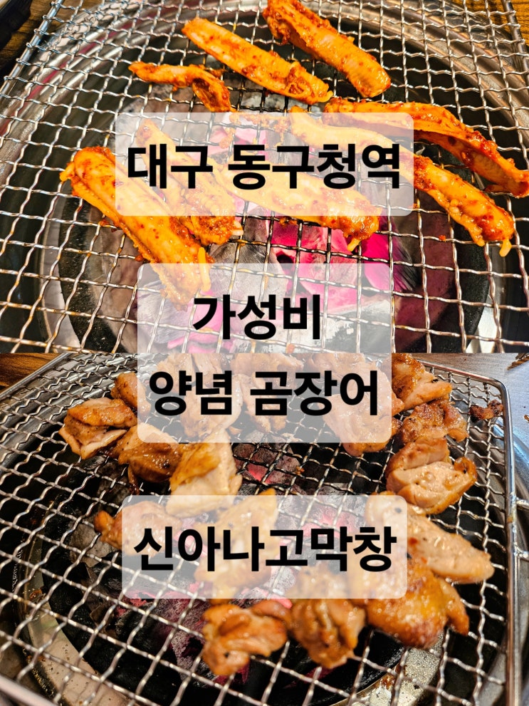  대구 동구청역 가성비 곰장어 닭다리살 맛집 '신아나고막창'