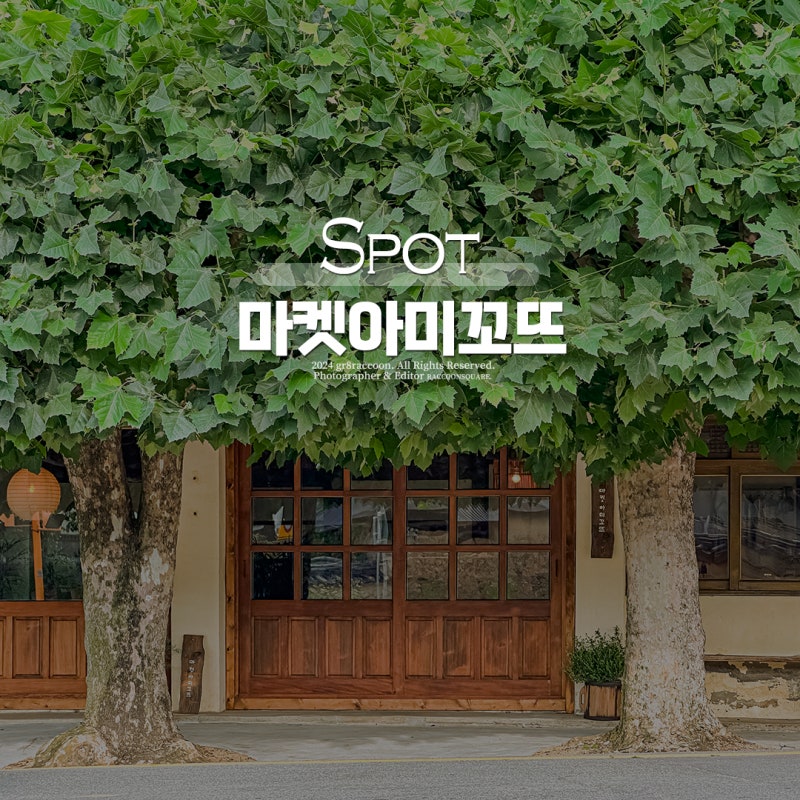 네이버 인플루언서 [네이버 인플루언서] 라쿤의 포항운하