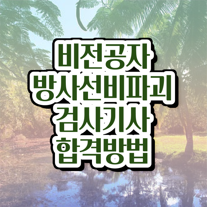  방사선비파괴검사기사 시험응시조건 인강만 듣고 4개월 만에 완료한 노하우