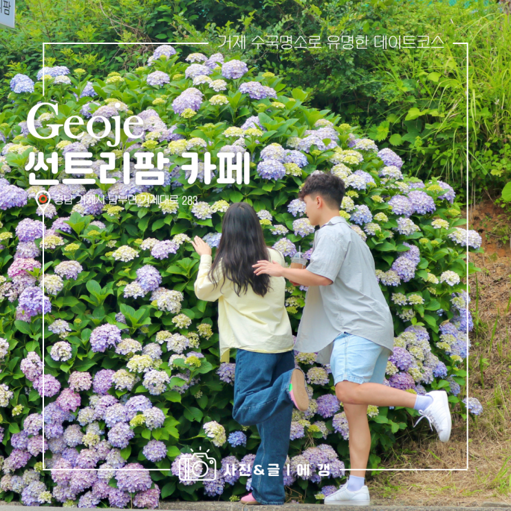  거제 주말 데이트 코스 수국명소로 유명한 썬트리팜 카페