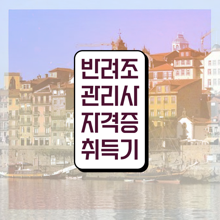  말하는앵무새카페 , 반려조관리사 자격증 한달 만에 취득한 방법 및 무료수강 혜택