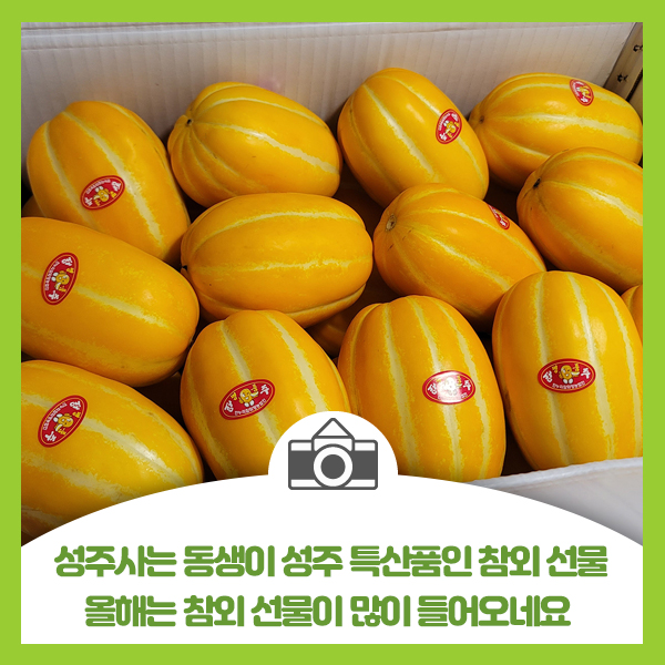  성주 사는 동생이 성주 특산품인 참외 선물, 올해는 참외 선물이 많이 들어오네요