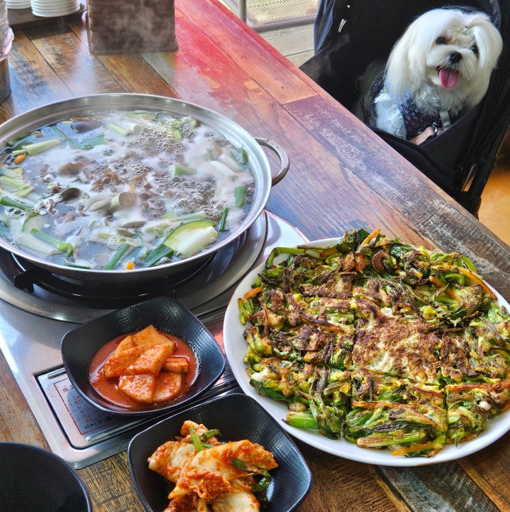  강화 애견동반식당 도토리바지락손칼국수 반려견 실내동반 칼국수 후기