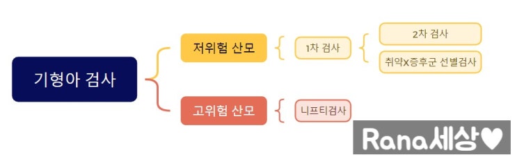 [임신검사] 임신 16주, 2차 기형아검사 받고왔어요!(시간, 비용, 항목)