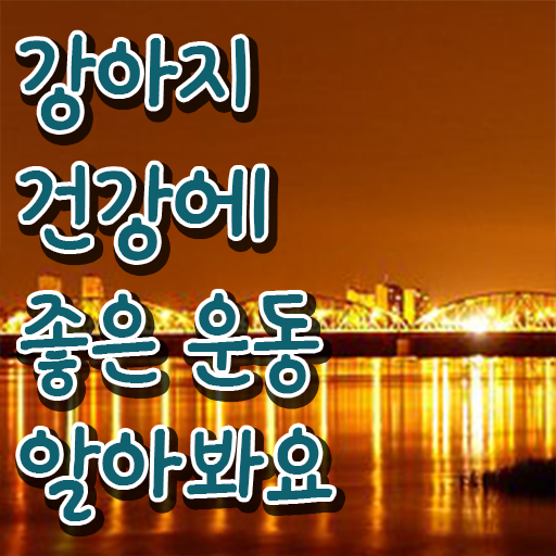  40대여성취업 , 반려견운동지도사 무자격 비전공자도 간단하게 끝낼수 있었던 꿀팁 모음
