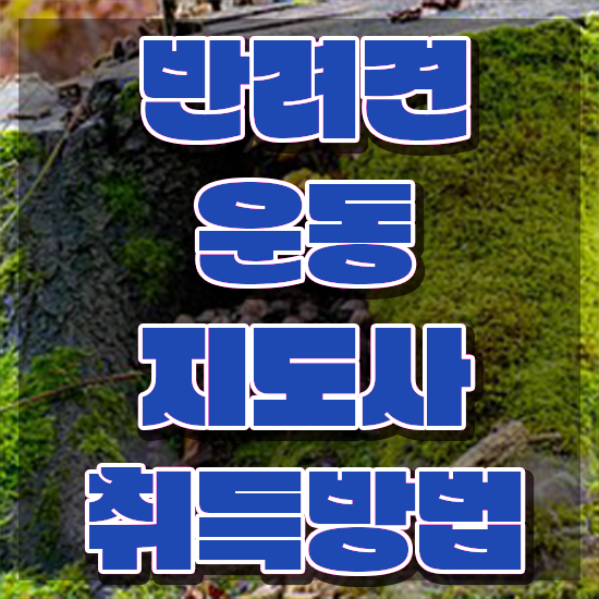 40대 자격증 , 반려견운동지도사 온라인으로 손쉽게 취득한 방법