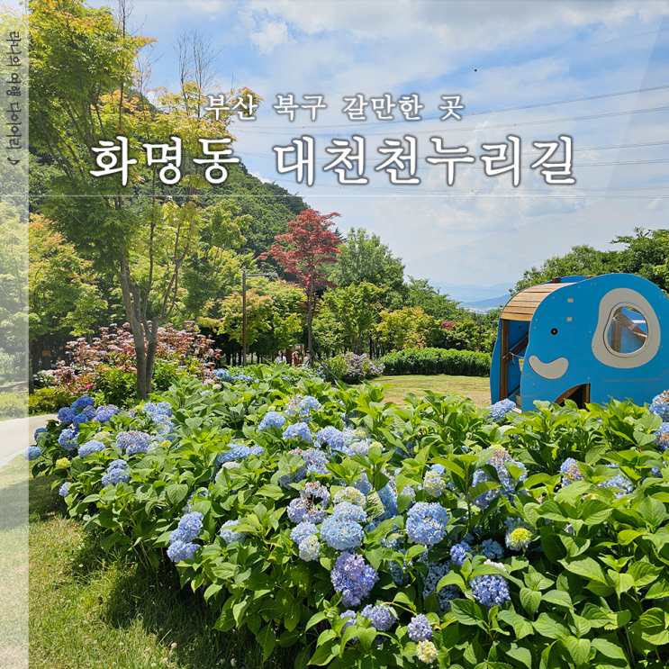  대천천 누리길 부산 화명동 수국길 아이와 가볼만한 곳 피크닉하기 좋은 곳