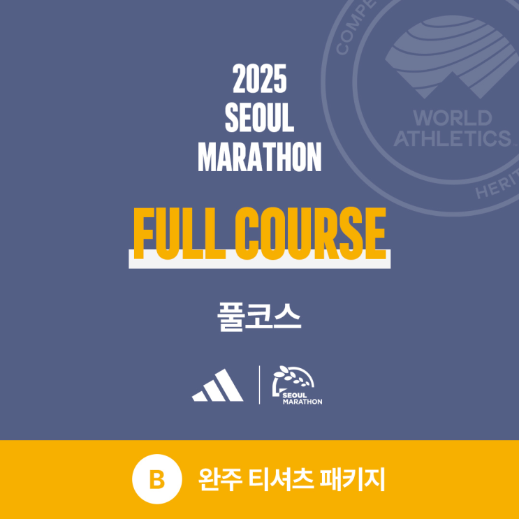 2025 서울마라톤 접수