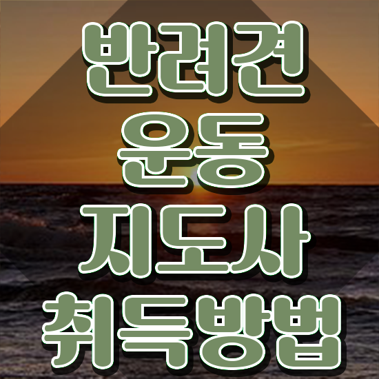  40대 취업 , 반려견운동지도사자격증 응시자격 없이 취득한 과정