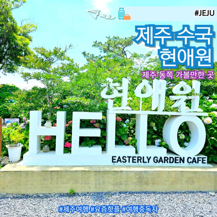  제주 6월 7월 동쪽 가볼만한 곳 제주도 수국 축제 현애원