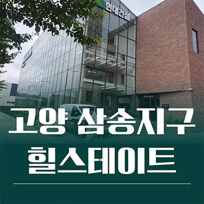  고양 삼송지구 힐스테이트 타운하우스 신원동 현대건설 단독주택 타입별 분양가격 잔여세대 문의