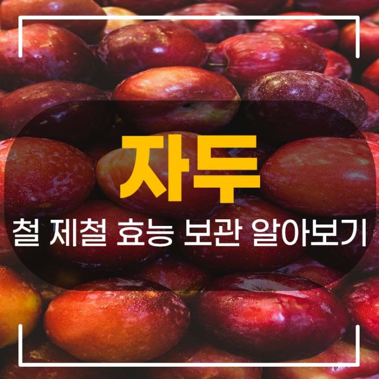  자두 철 제철 효능 보관 알아보기