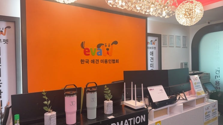  직장인 애견미용학원 다니면서 자격증 취득하는 이유