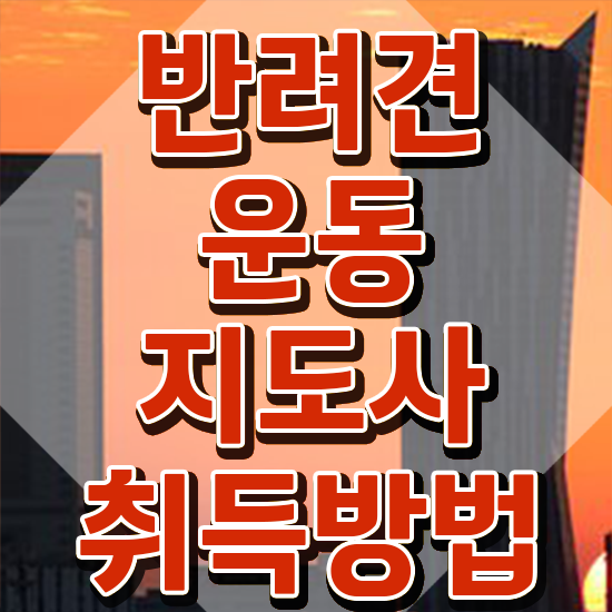  40대 취업 , 반려견운동지도사자격증 공부한 방법 및 시험노하우