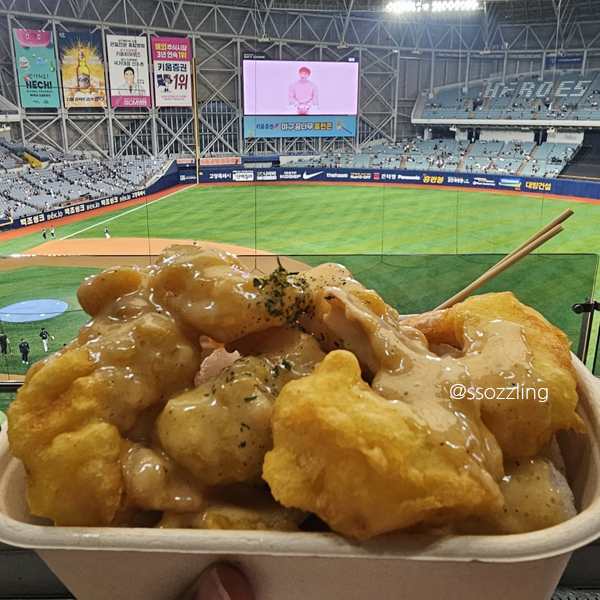 240615 <b>키움</b>vs<b>두산전</b> 고척돔 304구역 B열 시야 고척... 