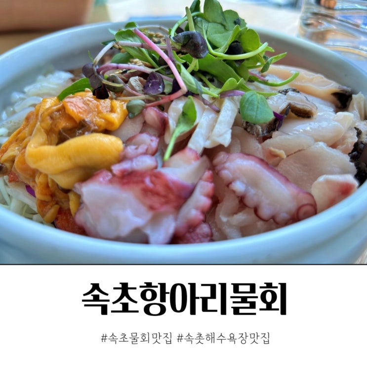  소노펠리체델피노 주변 현지인 물회맛집 추천 속초항아리물회