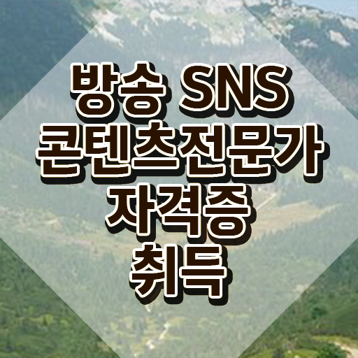  SNS마케팅도서 , 방송sns콘텐츠전문가 자격증 15일 만에 시험준비 및 전망