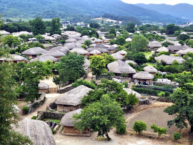  [국내여행/전남] 무계획 여수, 순천여행 (3 편, 브런치빈 순천호수공원 낙안읍성)