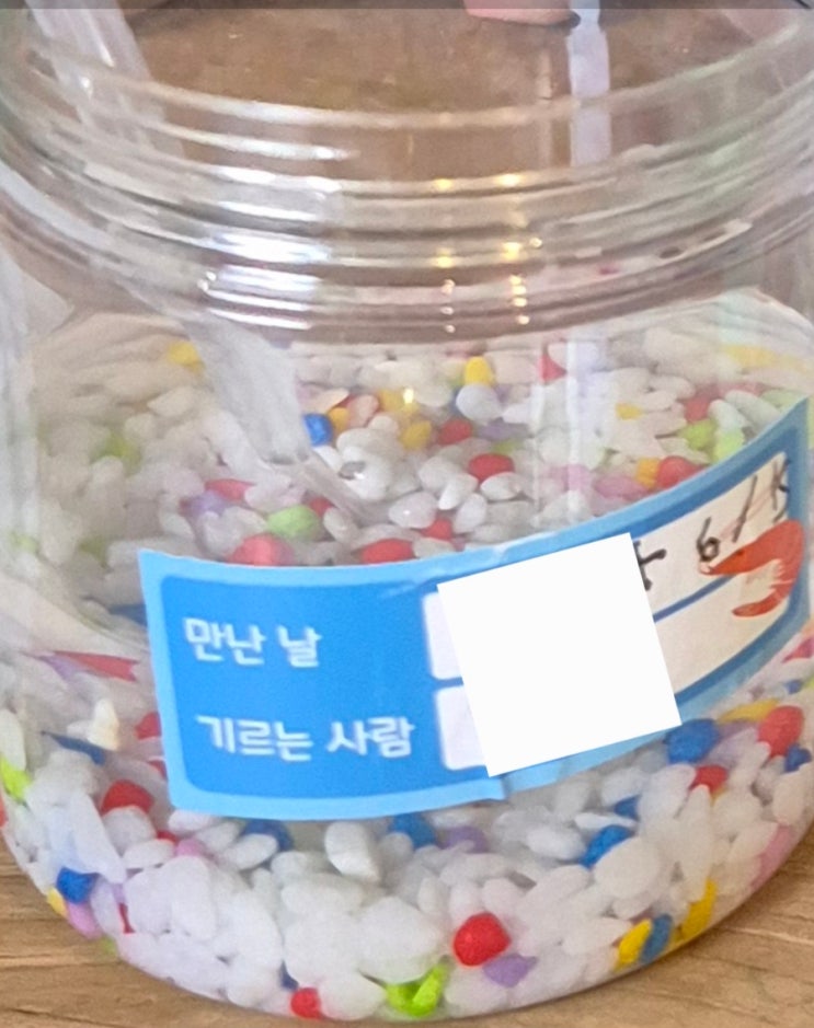 초등방과후수업 과학실험 (로보로보과학교실) 초등방과후수업 과학실험 (로보로보과학교실)