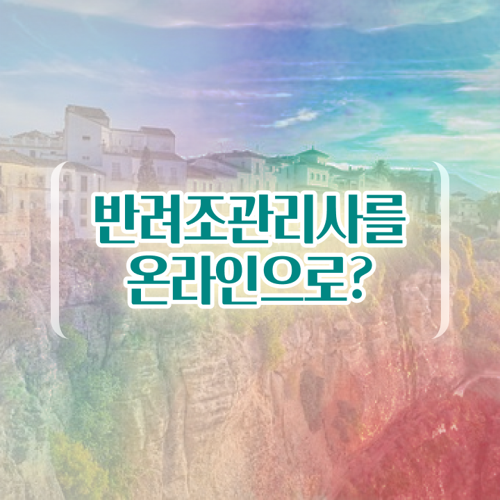  왕관앵무새 분양 , 반려조관리사 자격증 쉽고 빠르게 시험준비 , 활용 방법