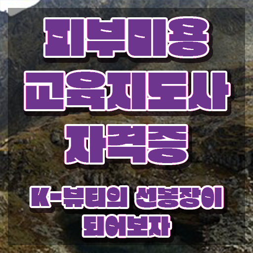  피부미용자격증 , 피부미용교육지도사 자격증 2주 만에 학습한 후기 , 구직정보