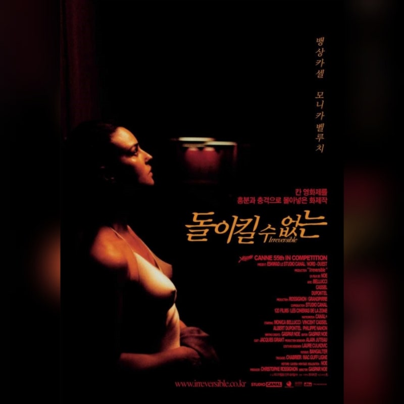 영화 돌이킬 수 없는 2002 정보 줄거리 결말 시간의 비가역성 모니카 벨루치