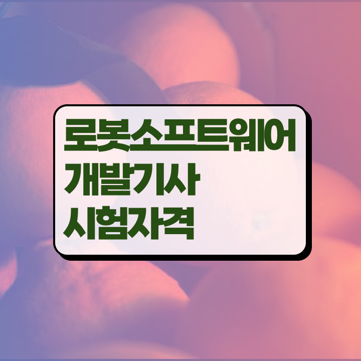  로봇소프트웨어개발기사 시험응시조건 독학으로 1학기 만에 끝낸 전략