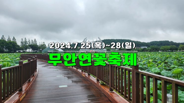 전라도 7월축제 무안 가볼만한곳 · 2024 무안연꽃축제 기본정보 꿀팁 장소 회산백련지 전라도 7월축제 무안 가볼만한곳 · 2024 무안연꽃축제 기본정보 꿀팁 장소 회산백련지