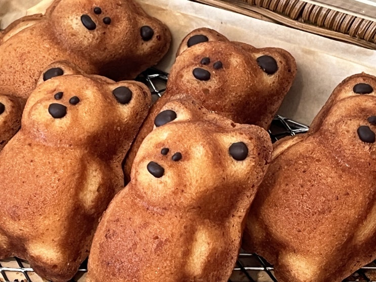  전주한옥마을카페 추천 카페 너의고요 방문기