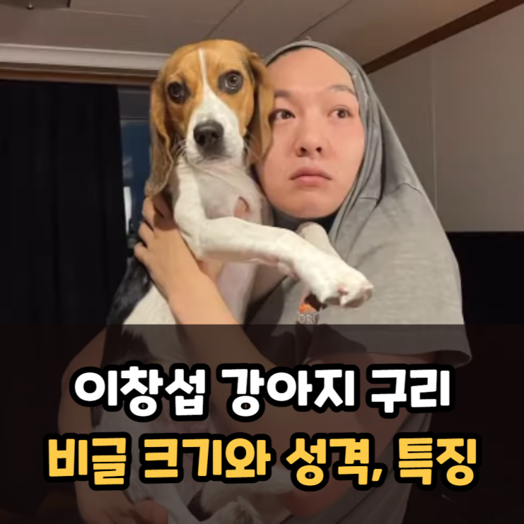  이창섭 강아지 구리 견종인 비글 크기와 성격, 특징은?