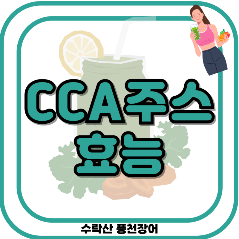 CCA주스 효능 해독 비율 당뇨 혈당 관리에 괜찮을지