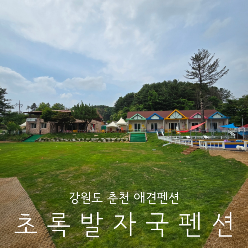 사진 9