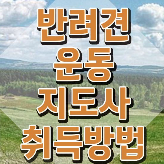  50대여성취업 반려견운동지도사 취득 정보 및 인터넷 학습과정