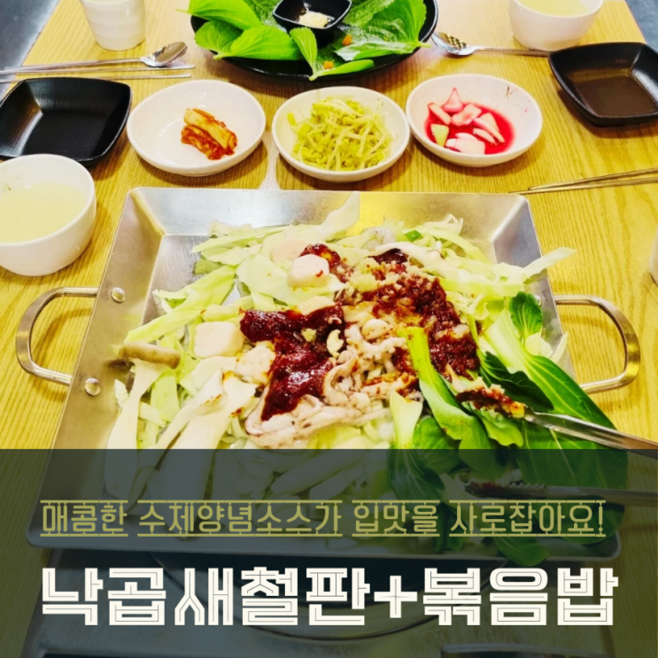  영천동 11자상가 백현낙곱새 동탄본점 방문 후기